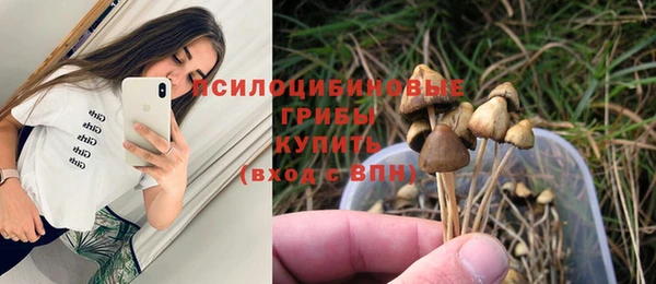 a pvp Алексин